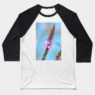 Verbena hastata f. rosea  &#39;Pink Spires&#39; Baseball T-Shirt